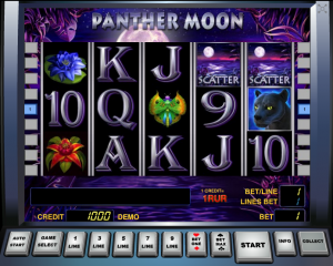 panther moon rules1 300x240 Играть без регистрации в игровые автоматы